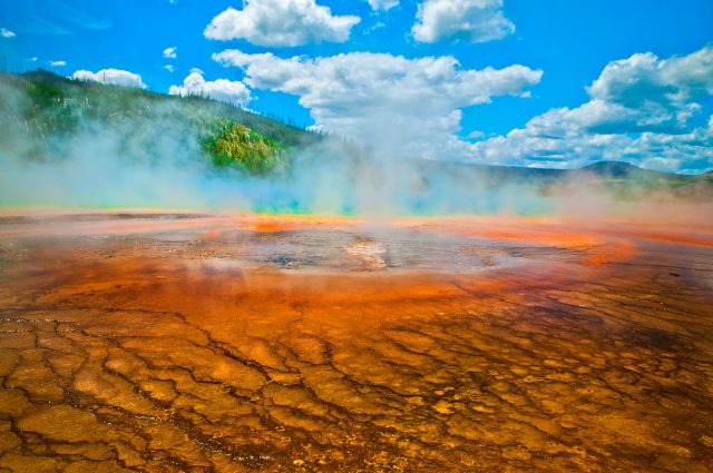 a grand prismatic spring in yellowstone